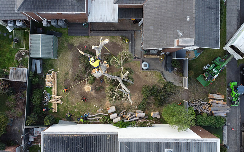 Milones Tree Removal Werribee